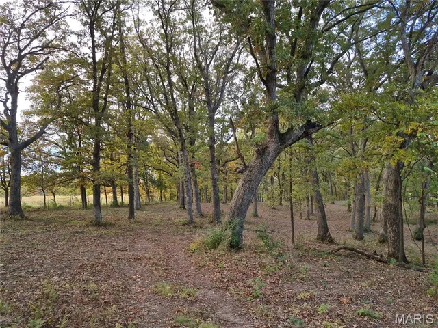$442,000 | 0 Highway D - Tract 5 (26 /- Acres) Eolia Mo 63344, Eolia, MO 63344