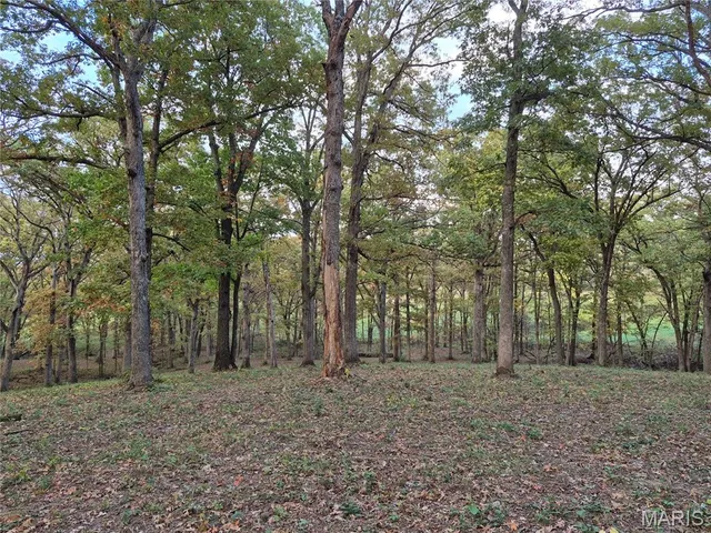 $442,000 | 0 Highway D - Tract 5 (26 /- Acres) Eolia Mo 63344, Eolia, MO 63344