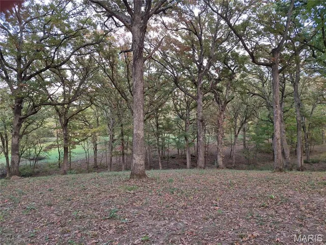 $442,000 | 0 Highway D - Tract 5 (26 /- Acres) Eolia Mo 63344, Eolia, MO 63344