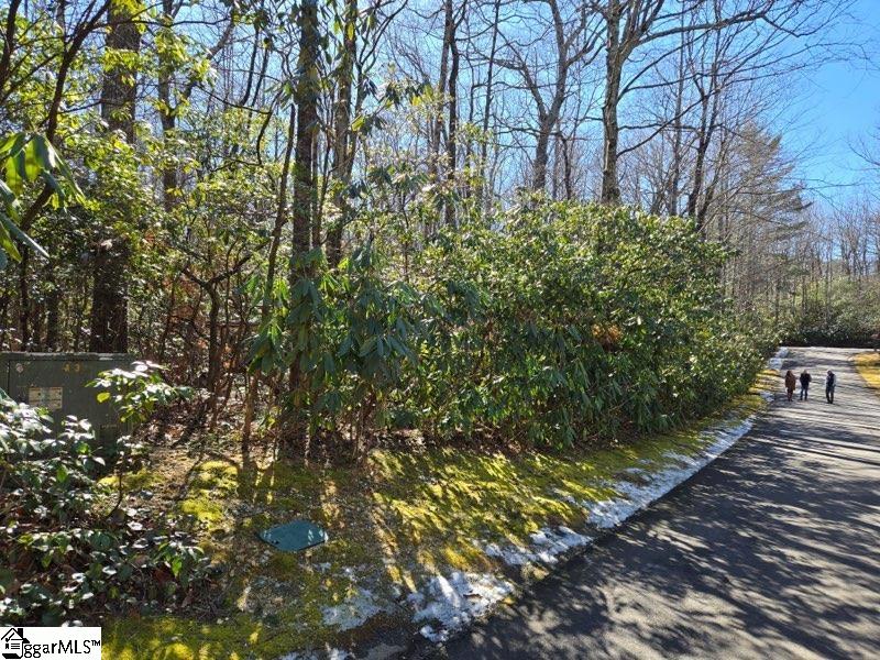 108 Hemlock Trail Cleveland, SC 29635 - Photo 3 of 8
