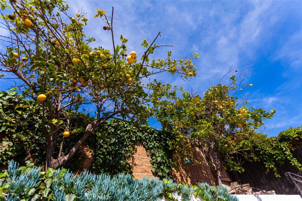 2808 Terry Road Laguna Beach, CA 92651 - Photo 39 of 43 Gallery Image 39