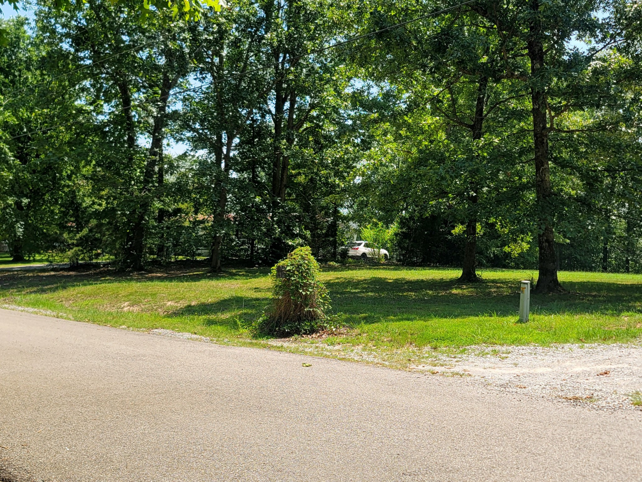 167 Schumaker Road Hohenwald, TN 38462 - Photo 5 of 18 Gallery Image 5