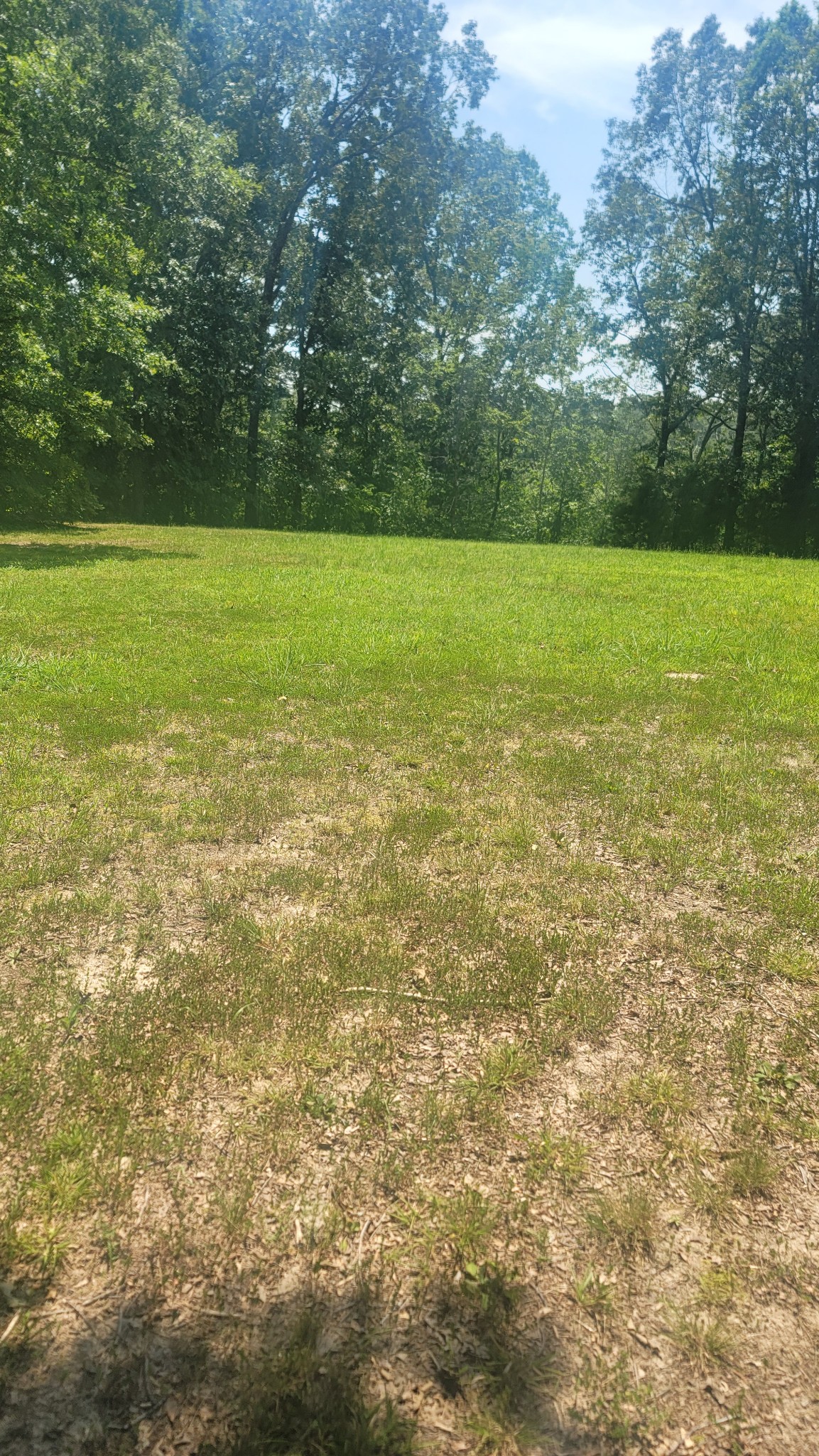 167 Schumaker Road Hohenwald, TN 38462 - Photo 6 of 18 Gallery Image 6