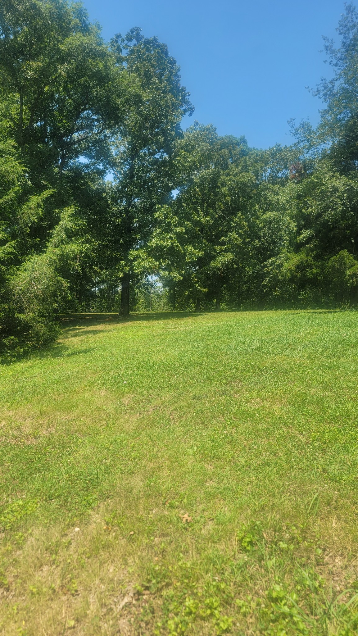 167 Schumaker Road Hohenwald, TN 38462 - Photo 7 of 18 Gallery Image 7