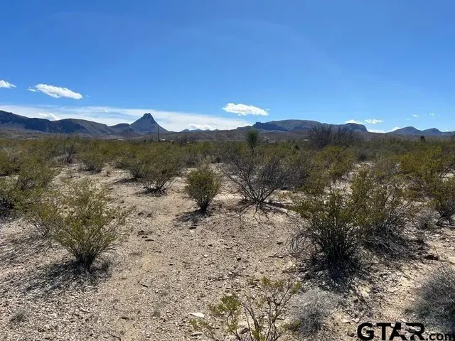 a view of a dry yard with mountains in the background