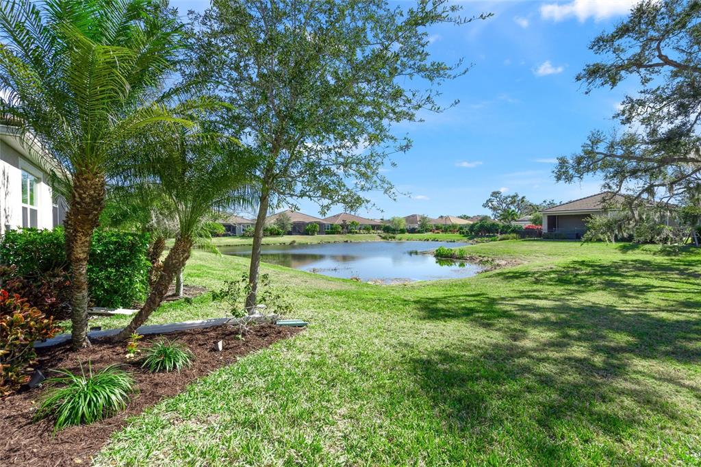 8605 Rain Song Road Sarasota, FL 34238 - Photo 29 of 52 a view of a park with large trees