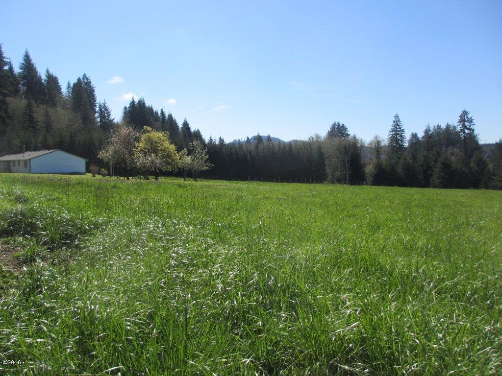 1230 Moonshine Park Road Logsden, OR 97357 - Photo 24 of 34 pasture land