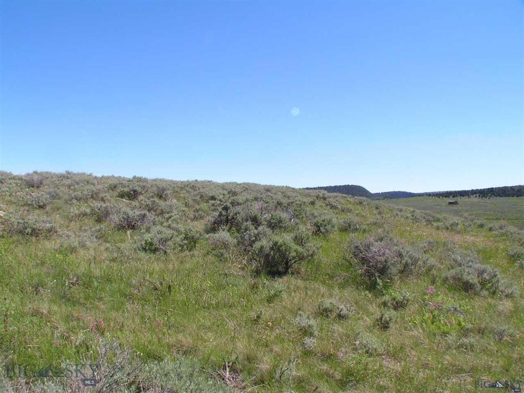 Lot 136 Madison River Ranch, Unit 1 Cameron, MT 59720 - Photo 1 of 1 Gallery Image 1