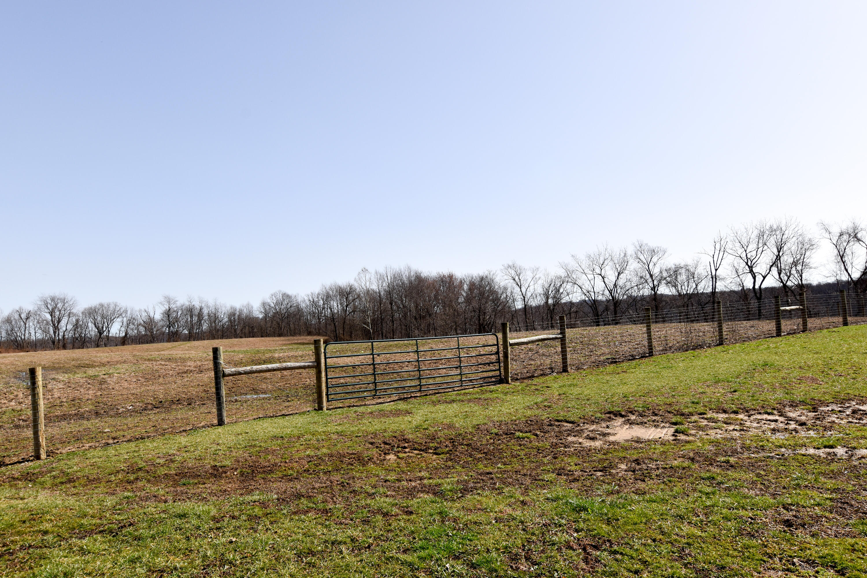 965 Oakridge Road Vanceburg, KY 41179 - Photo 11 of 97 DSC_0008