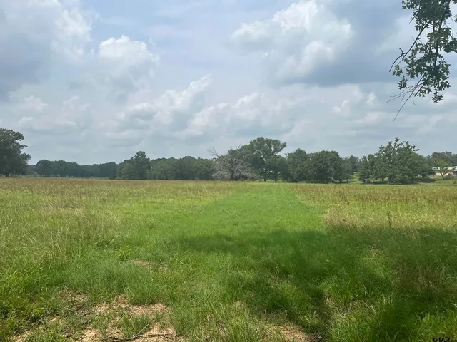 a view of lake with green space