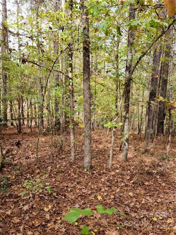 4669 Persimmon Road, Unit 21/PHASE 1 Lancaster, SC 29720 - Photo 21 of 23 Gallery Image 21