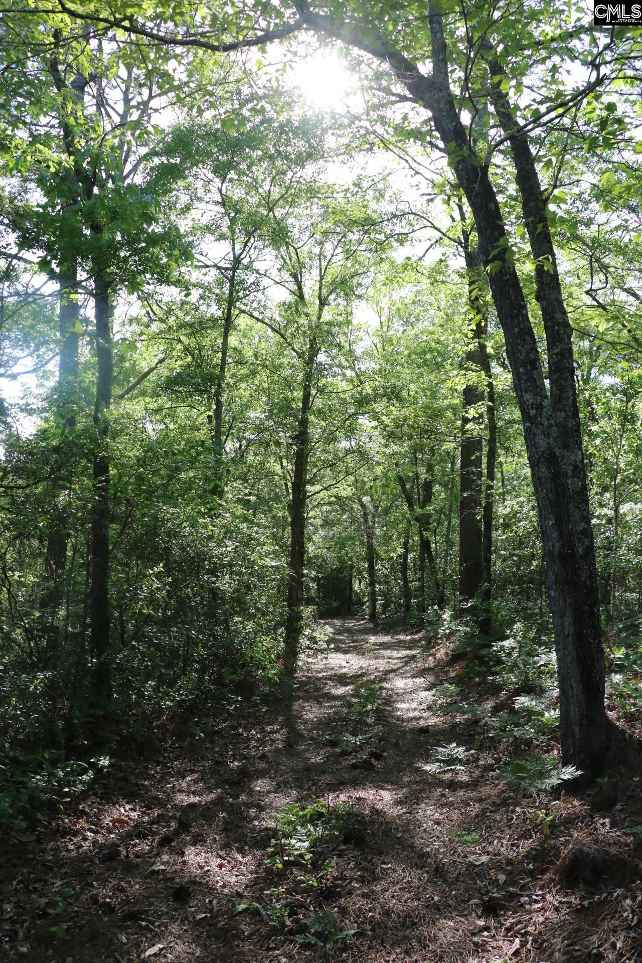 Tbd Browns Pond Road Wagener, SC 29164 - Photo 47 of 48