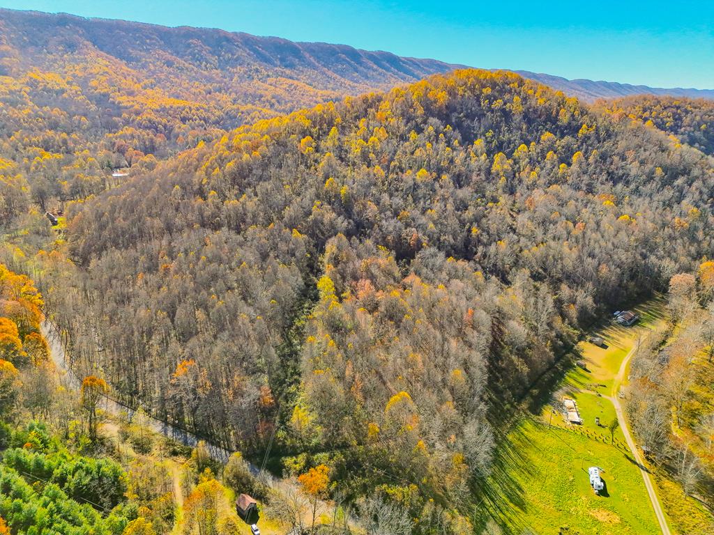 Tbd Indian Paint Road, Unit 4 Pounding Mill, VA 24637 - Photo 1 of 53 Gallery Image 1