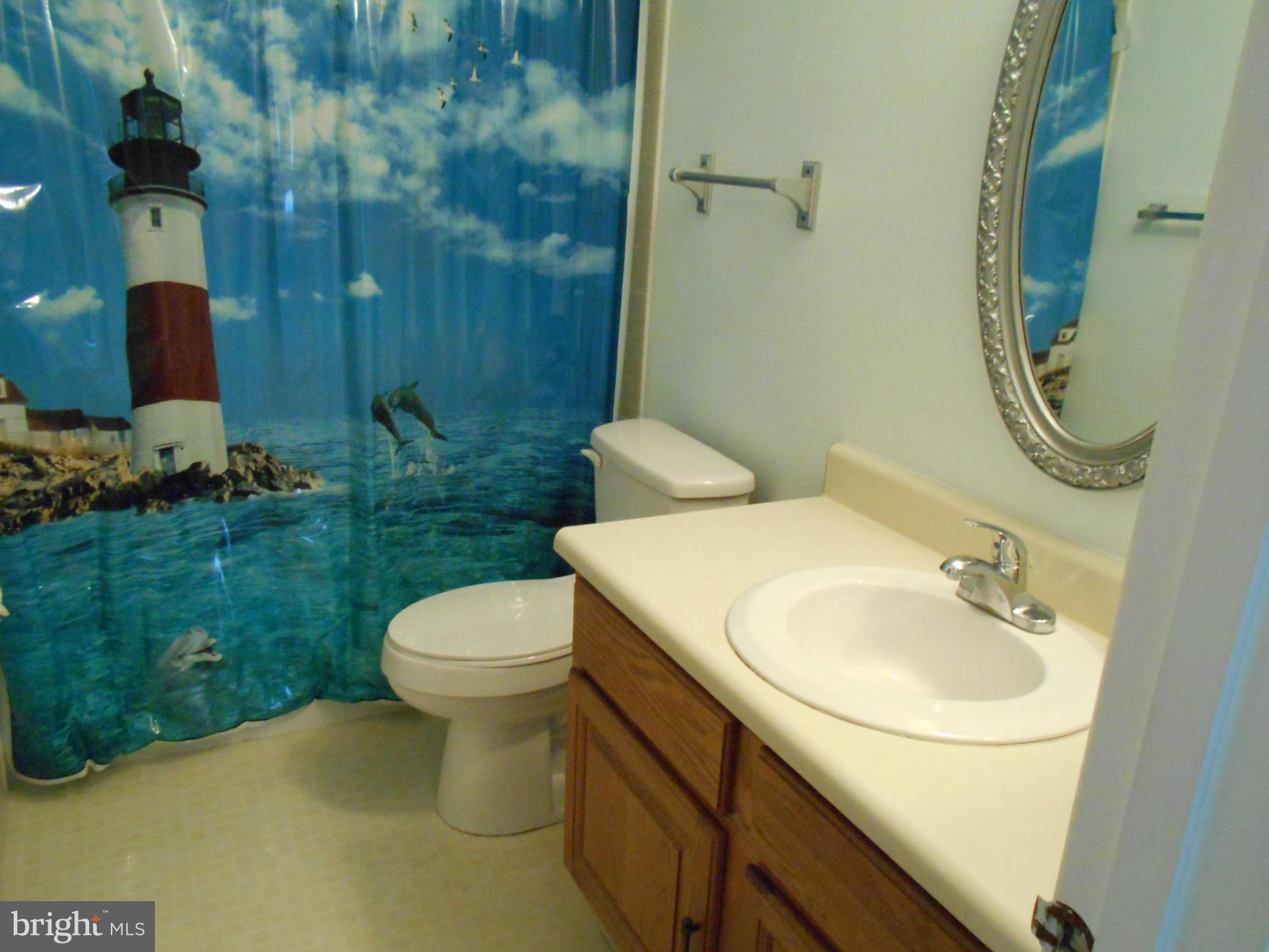 7048 Catalpa Road Frederick, MD 21703 - Photo 17 of 26 a bathroom with a sink a toilet and shower