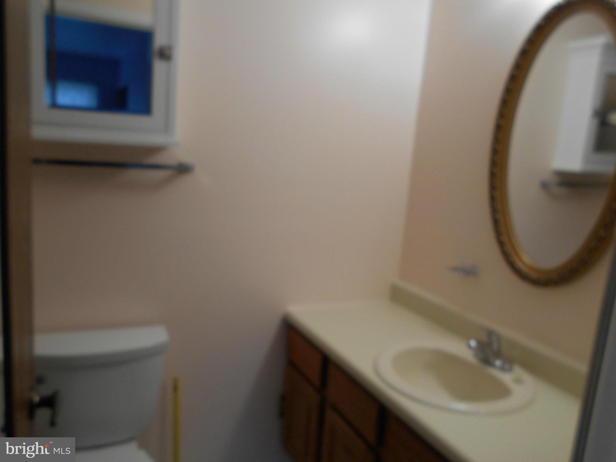 7048 Catalpa Road Frederick, MD 21703 - Photo 21 of 26 a bathroom with a sink and a toilet