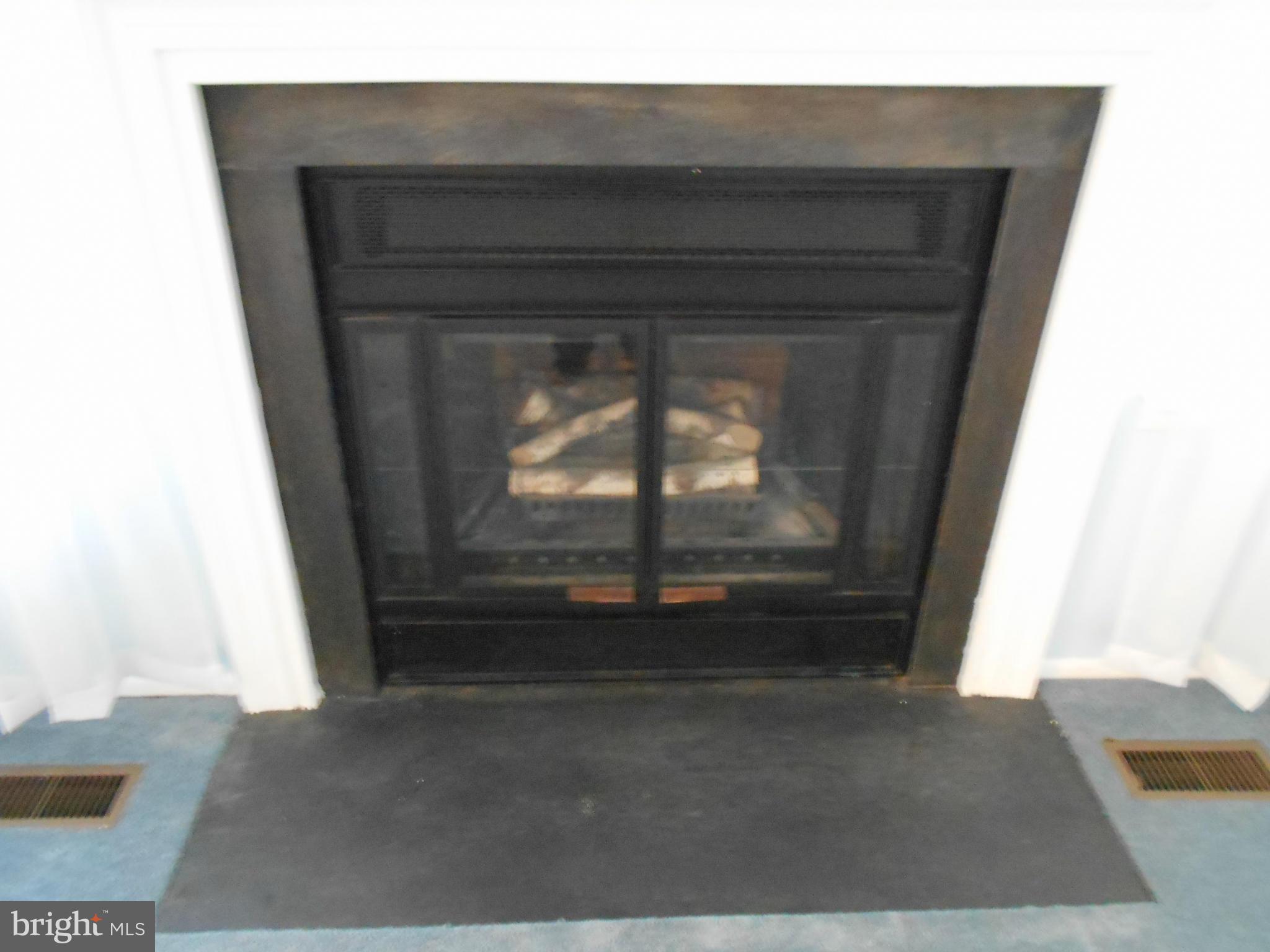 7048 Catalpa Road Frederick, MD 21703 - Photo 4 of 26 a living room with a fireplace
