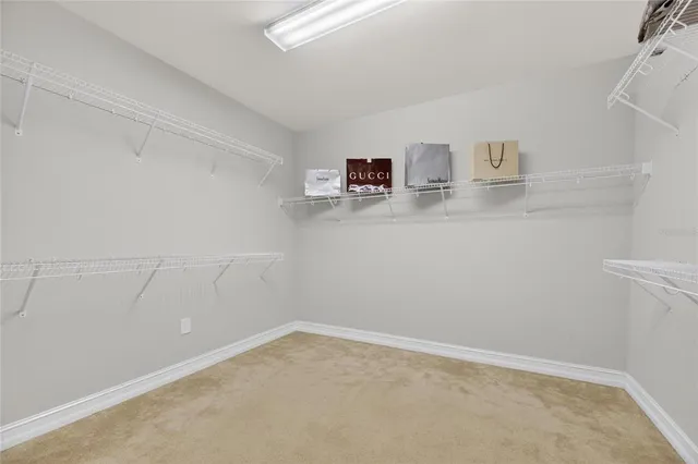 $5,800 | 18233 Leafmore Street, Lutz, FL 33548