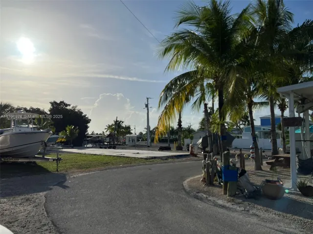 a view of a yard with palm trees