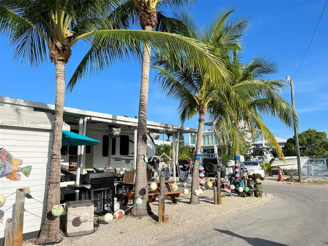 a outdoor space with lots of palm trees