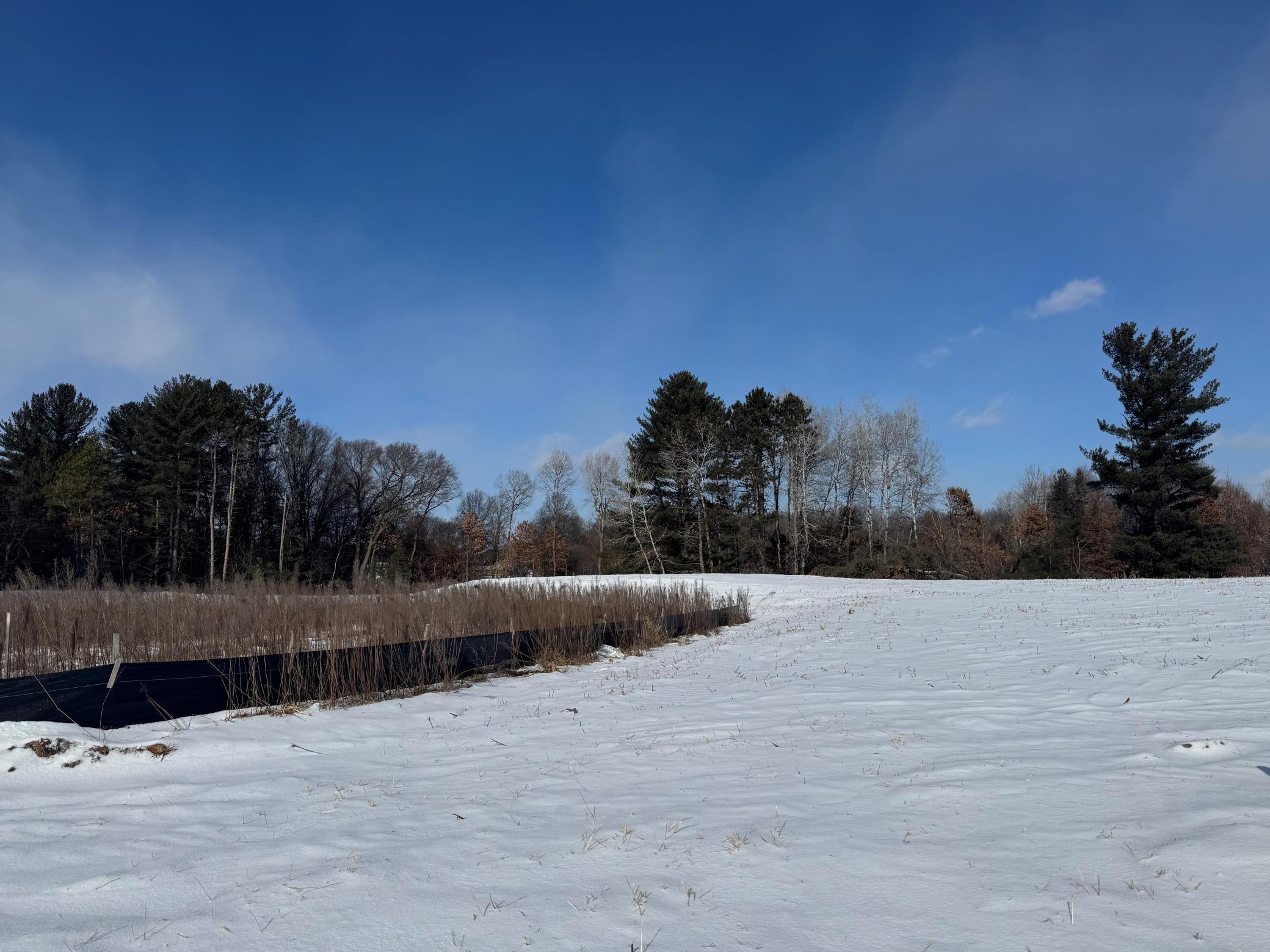 17982 Staples Street Northeast Ham Lake, MN 55304 - Photo 1 of 5
