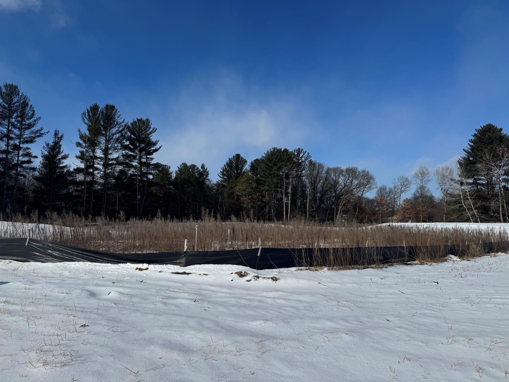 17982 Staples Street Northeast Ham Lake, MN 55304 - Photo 4 of 5