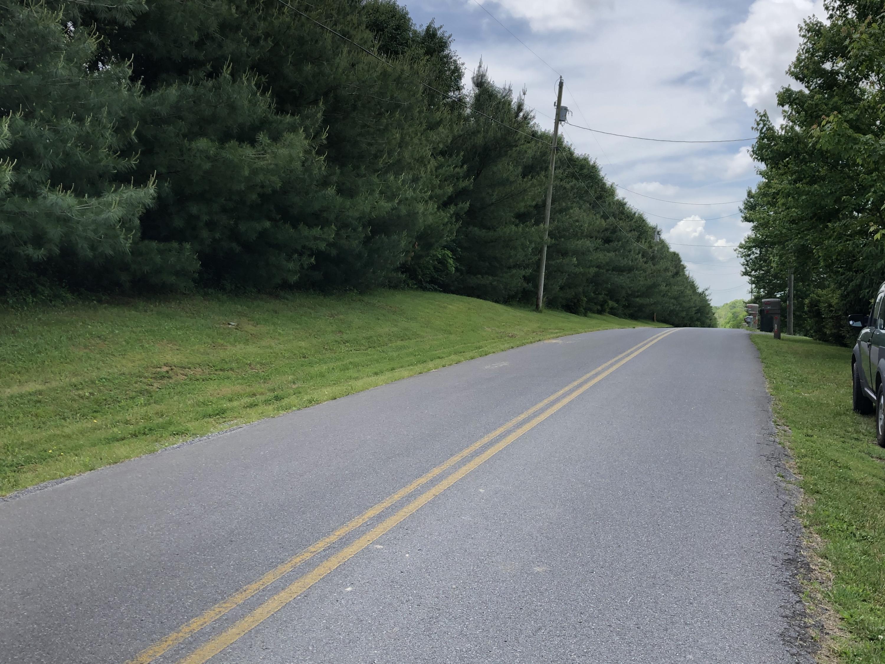 353 McInturff Road Limestone, TN 37681 - Photo 66 of 69 IMG_2382