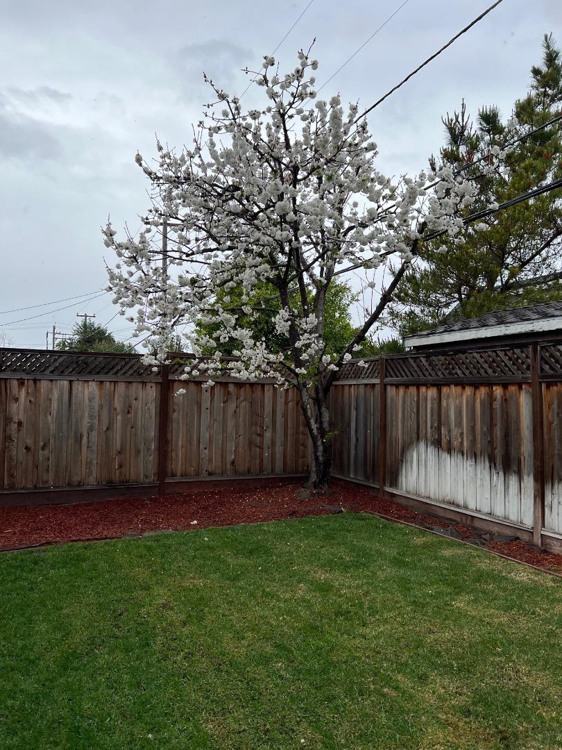 263 Bieber Drive San Jose, CA 95123 - Photo 23 of 26 a view of a yard with wooden fence