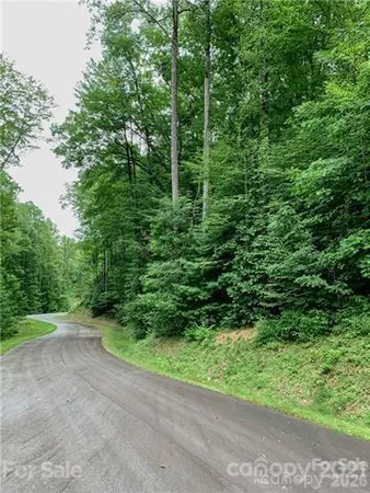 a view of yard