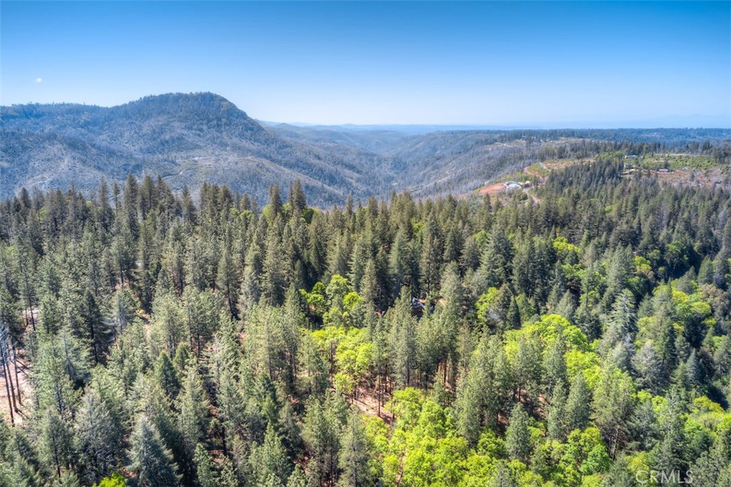 14565 Coutolenc Road Magalia, CA 95954 - Photo 26 of 43
