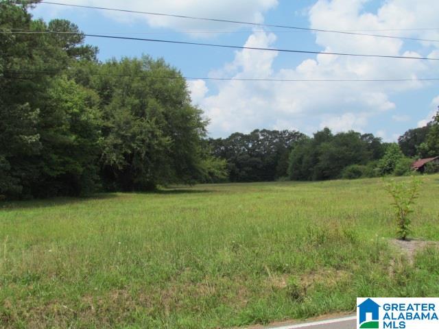 0 Old Springville Road Odenville, AL 35120 - Photo 1 of 4