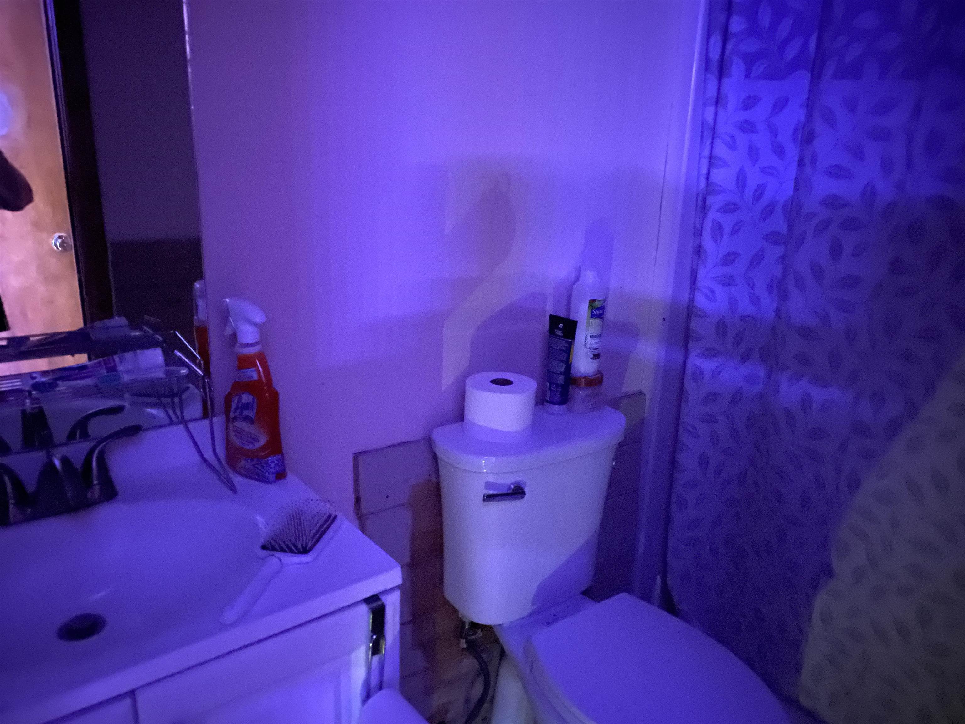 3261 Route 30 North Castleton Vt 05735 Castleton, VT 05735 - Photo 39 of 39