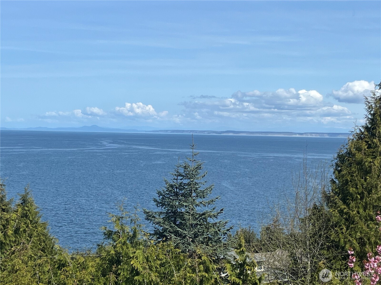 320 North Street Sequim, WA 98382 - Photo 19 of 39