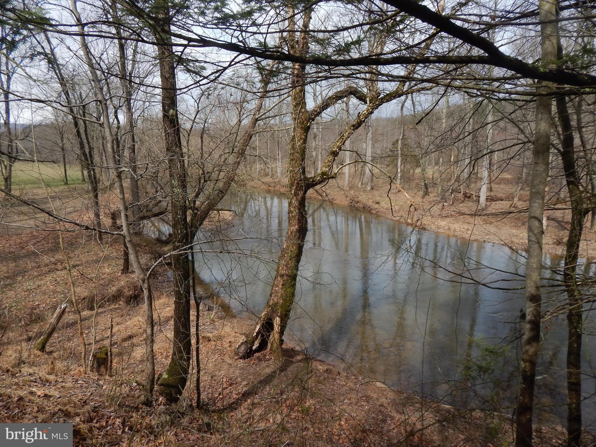 1 Shadow Valley Farm Berkeley Springs, WV 25411 - Photo 1 of 11 Sleepy Creek