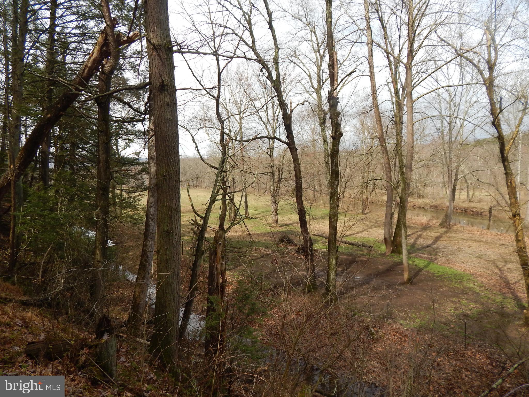 1 Shadow Valley Farm Berkeley Springs, WV 25411 - Photo 2 of 11 Wooded and Pasture