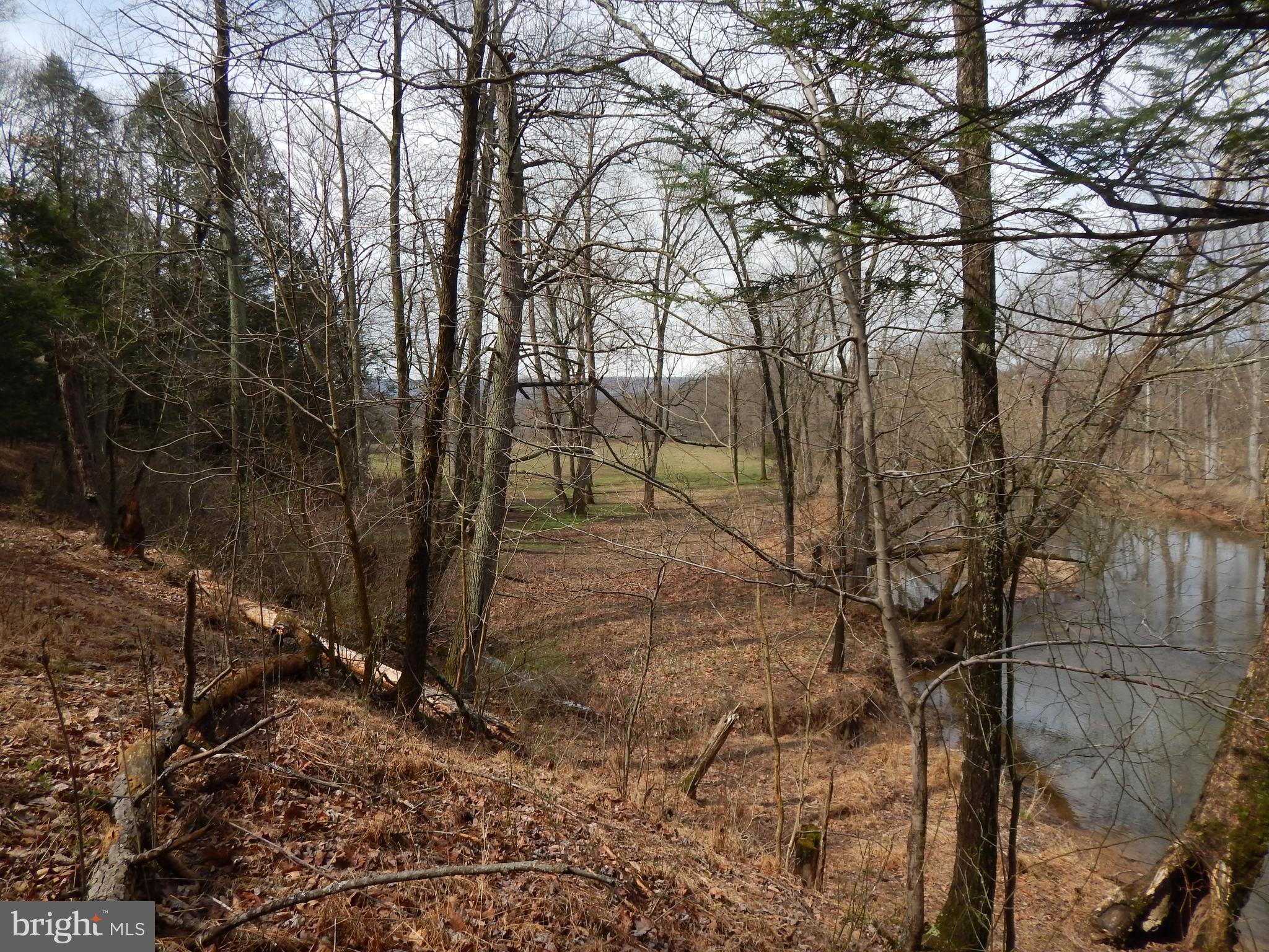 1 Shadow Valley Farm Berkeley Springs, WV 25411 - Photo 3 of 11 Wooded, Pasture and Sleepy Creek