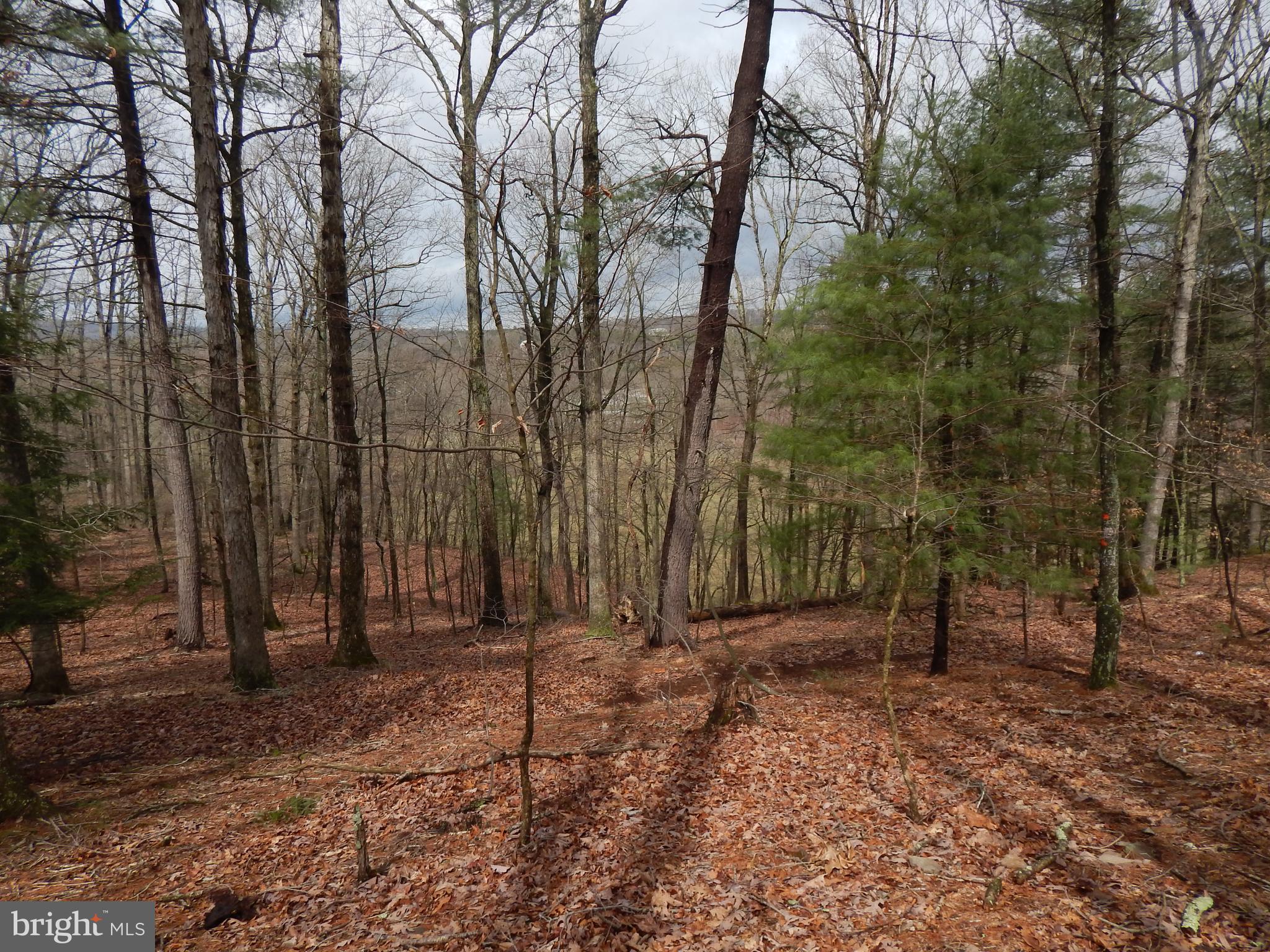 1 Shadow Valley Farm Berkeley Springs, WV 25411 - Photo 6 of 11