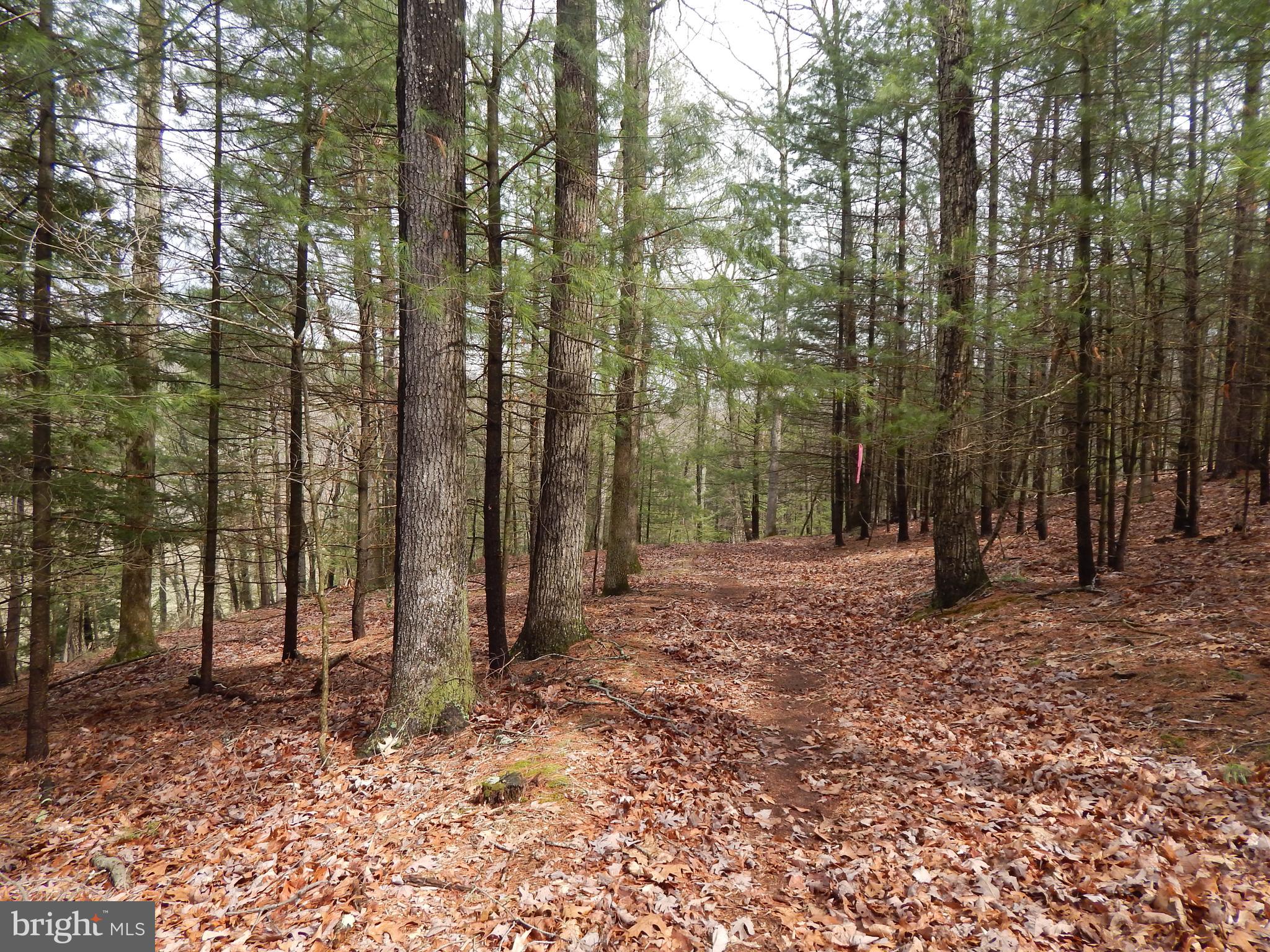 1 Shadow Valley Farm Berkeley Springs, WV 25411 - Photo 7 of 11