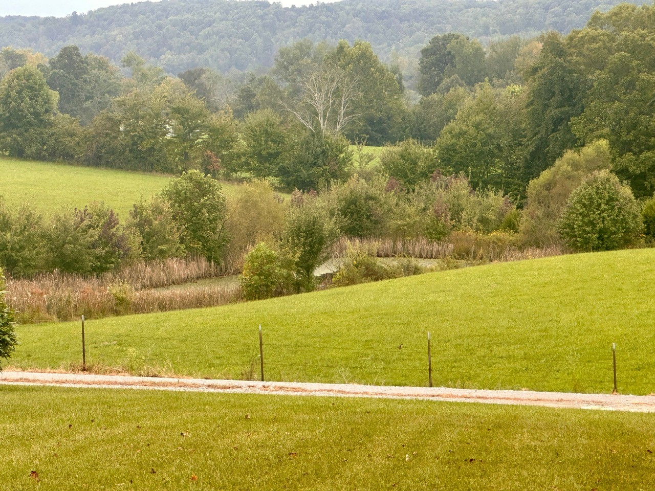 12343 Griffith Road Pikeville, TN 37367 - Photo 11 of 28 a view of an ocean