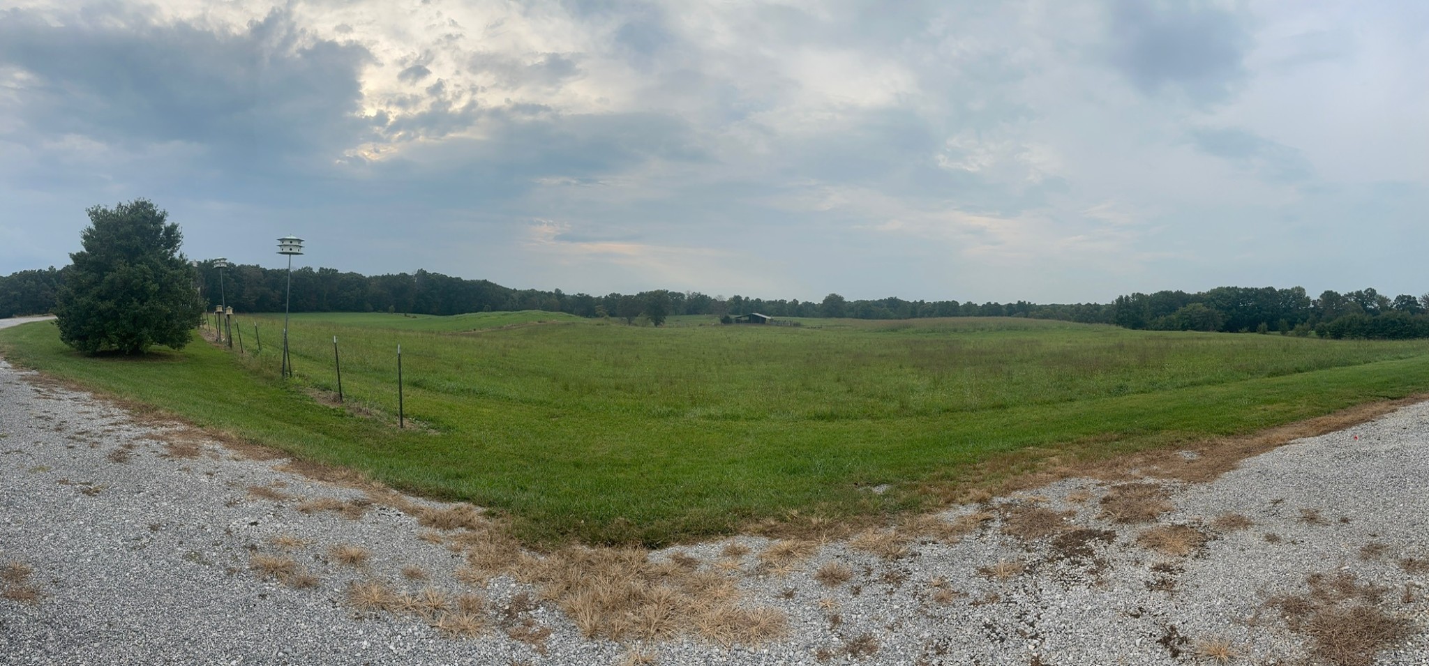 12343 Griffith Road Pikeville, TN 37367 - Photo 19 of 28 a view of a lake with a big yard
