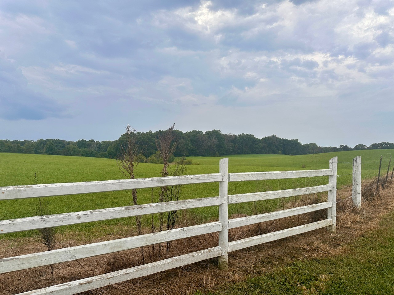 12343 Griffith Road Pikeville, TN 37367 - Photo 9 of 28 a view of outdoor space and city view