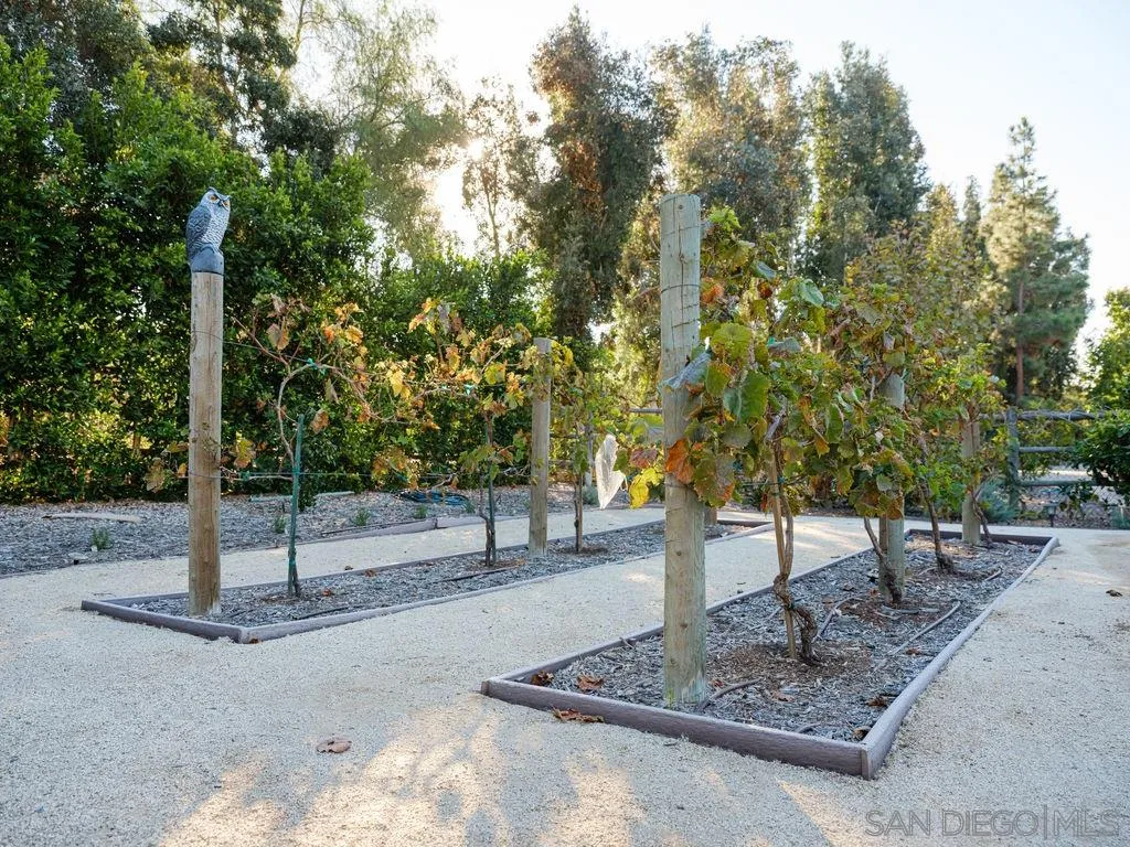 18072 Rancho La Cima Corte Rancho Santa Fe, CA 92067 - Photo 30 of 32 a view of a park