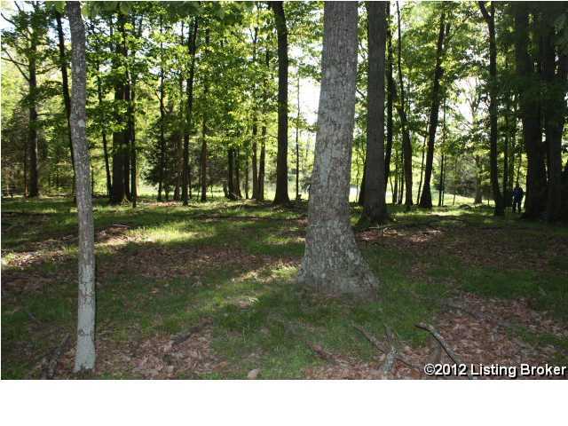 3030 Grindstone Road Clarkson, KY 42726 - Photo 9 of 24 Additional Photo