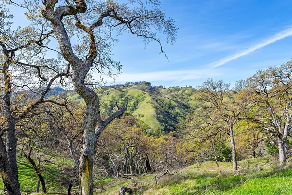 $875,000 | 11250 Skaggs Springs Road, Geyserville, CA 95441