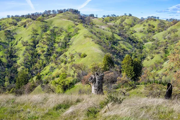 $875,000 | 11250 Skaggs Springs Road, Geyserville, CA 95441