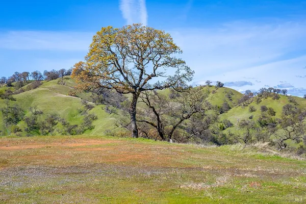 $875,000 | 11250 Skaggs Springs Road, Geyserville, CA 95441