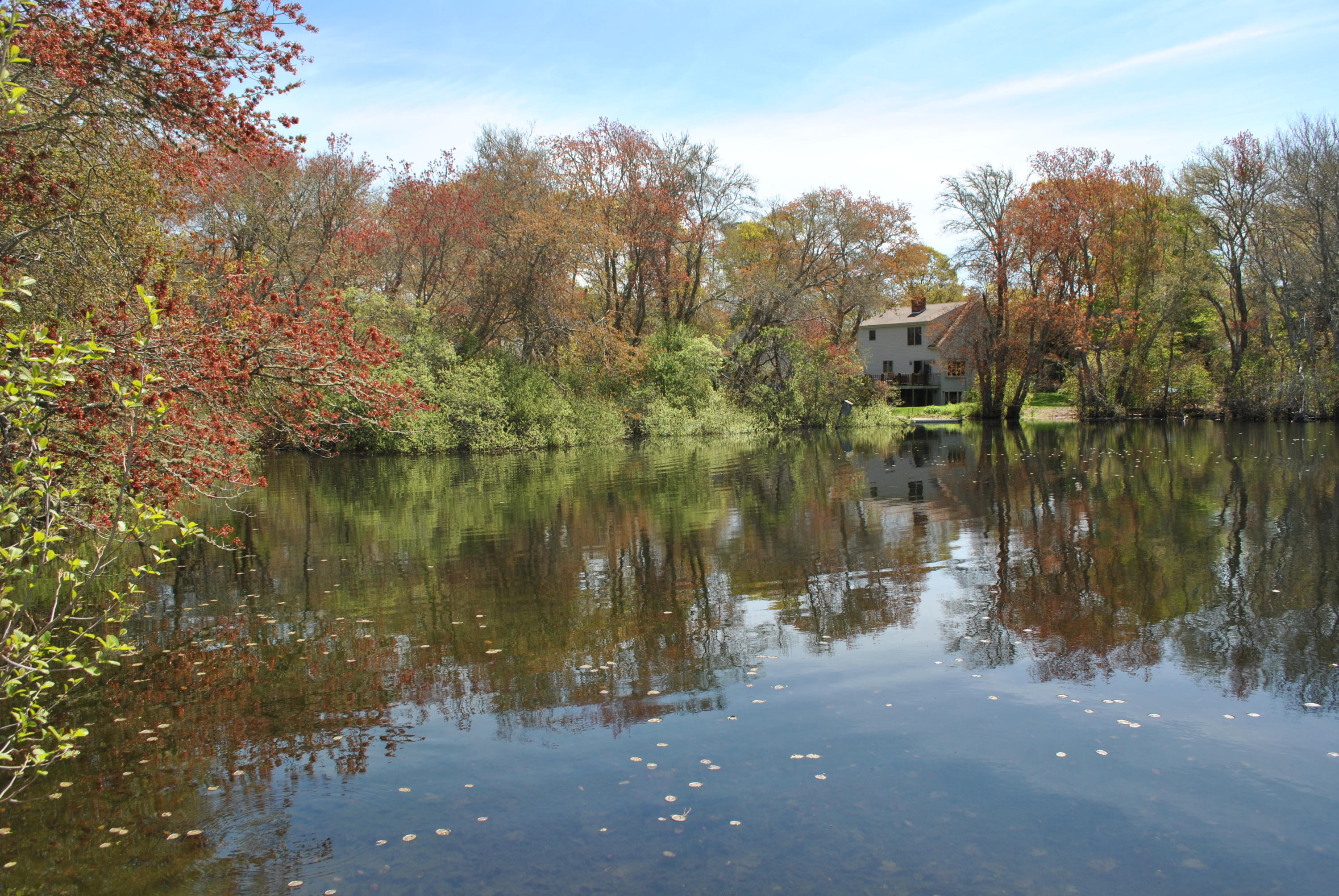83 Lake Drive Centerville, MA 02632 - Photo 27 of 35 a view of lake