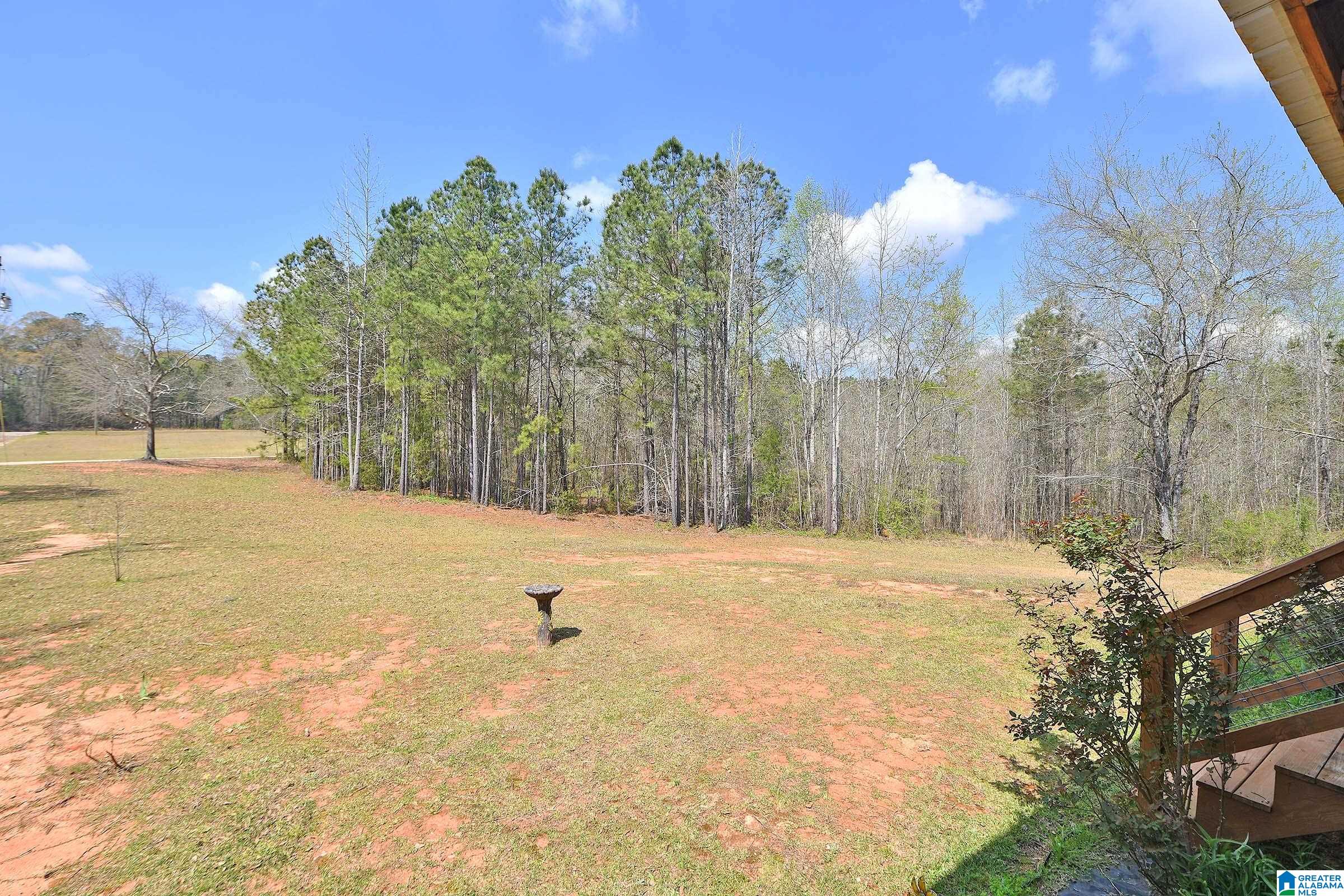 871 County Road 75 Wedowee, AL 36278 - Photo 8 of 50