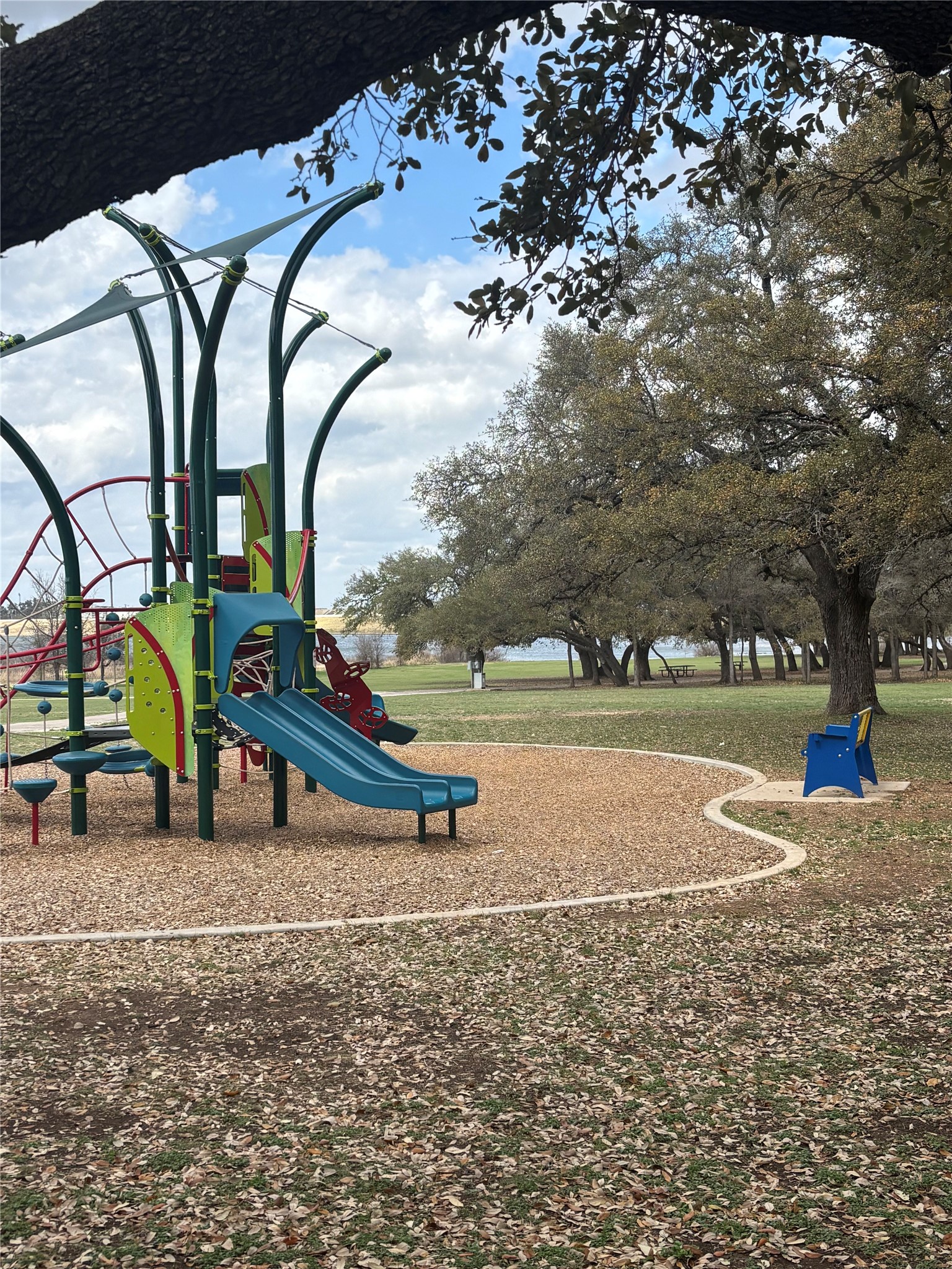 507 Clear Spring Lane Leander, TX 78641 - Photo 24 of 25 a view of park