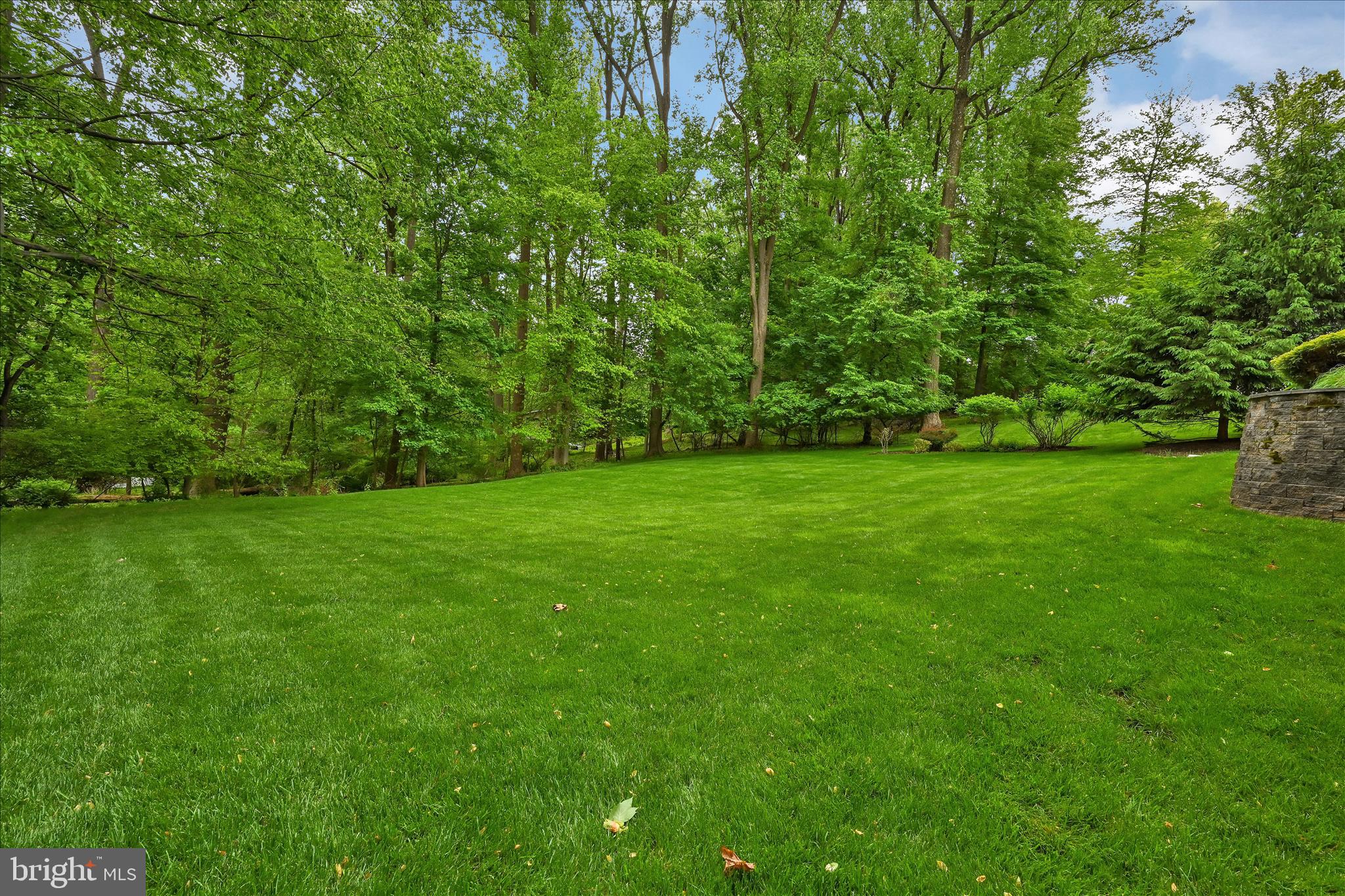 451 Cassatt Road Berwyn, PA 19312 - Photo 58 of 61 Sprawling Rear Yard Backing to Woods