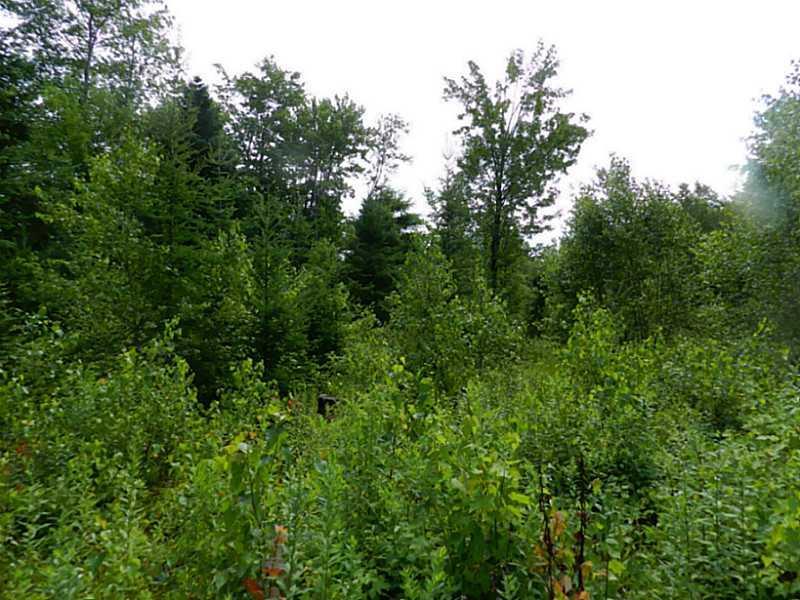 107 Ford Hill Road Hartland, ME 04943 - Photo 16 of 27 Land.